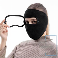 Wind and Smog Resistant Full Face Mask